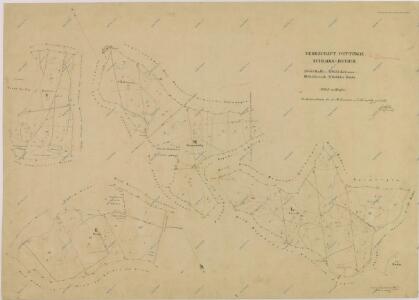 Brouillon hospodářské mapy polesí Zámecký-lesní úseky Radlice, Kalinova, Lejsek, a u Rudy 1