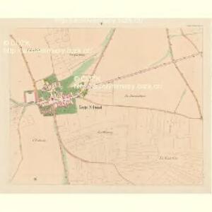 Gross Nehwizd (Welky Nedwizd) - c5009-1-005 - Kaiserpflichtexemplar der Landkarten des stabilen Katasters