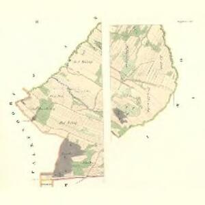 Petrzkowitz - m2278-1-001 - Kaiserpflichtexemplar der Landkarten des stabilen Katasters