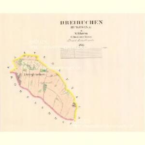 Dreibuchen (Bukowina) - m0290-1-001 - Kaiserpflichtexemplar der Landkarten des stabilen Katasters