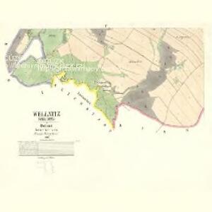 Wellnitz - c8357-1-004 - Kaiserpflichtexemplar der Landkarten des stabilen Katasters