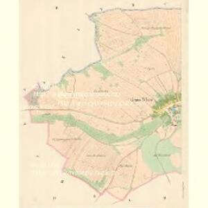Gross Tehow (Welkj Tehow) - c7846-1-002 - Kaiserpflichtexemplar der Landkarten des stabilen Katasters