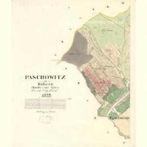 Paschowitz - m2233-1-001 - Kaiserpflichtexemplar der Landkarten des stabilen Katasters