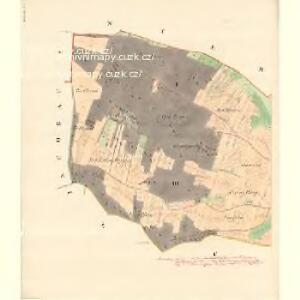 Witzenitz - m3391-1-001 - Kaiserpflichtexemplar der Landkarten des stabilen Katasters