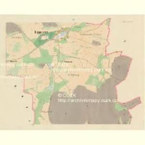 Lippowitz (Lippowice) - c4126-1-003 - Kaiserpflichtexemplar der Landkarten des stabilen Katasters