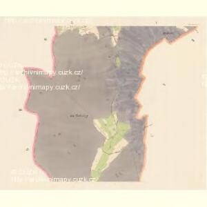 Okenau - c5399-1-004 - Kaiserpflichtexemplar der Landkarten des stabilen Katasters