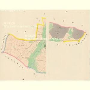 Protiwetz (Protiwec) - c6139-1-001 - Kaiserpflichtexemplar der Landkarten des stabilen Katasters
