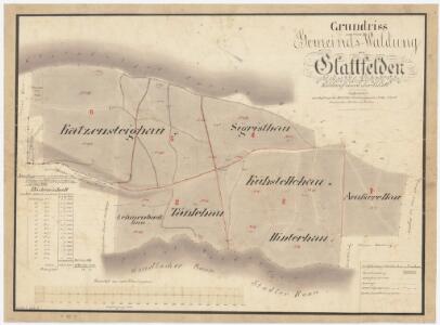 Glattfelden: Gemeindewaldung: Üsserhau (Äusserer Hau), Hinterhau, Chüestellihau (Kühstellehau), Sigristenhau, Lenibuck (Lehmenbuckhau), Chatzenstig (Katzensteighau), Franzenhau; Grundriss
