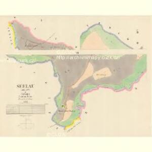 Seelau (Zeljw) - c9402-1-001 - Kaiserpflichtexemplar der Landkarten des stabilen Katasters