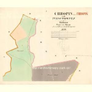 Chropin - m0981-1-001 - Kaiserpflichtexemplar der Landkarten des stabilen Katasters