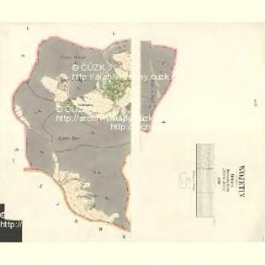 Wojetin - c8729-1-001 - Kaiserpflichtexemplar der Landkarten des stabilen Katasters