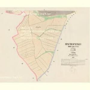 Bischowstein - c6923-1-003 - Kaiserpflichtexemplar der Landkarten des stabilen Katasters