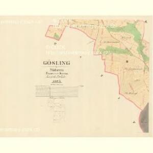 Gösling - m1293-1-002 - Kaiserpflichtexemplar der Landkarten des stabilen Katasters