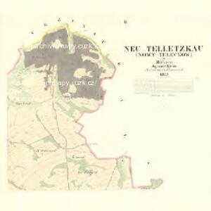 Neu Telletzkau (Nowy Teleckow) - m2085-1-002 - Kaiserpflichtexemplar der Landkarten des stabilen Katasters
