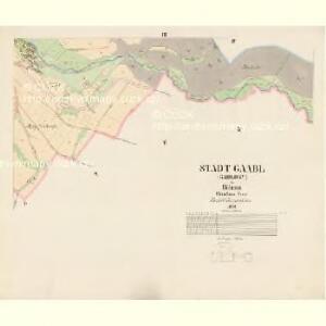 Gaabl (Gablony) - c2731-1-003 - Kaiserpflichtexemplar der Landkarten des stabilen Katasters