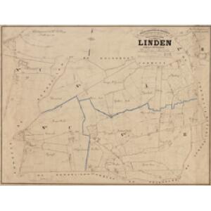 Plan parcellaire de la commune de Linden : avec les mutations