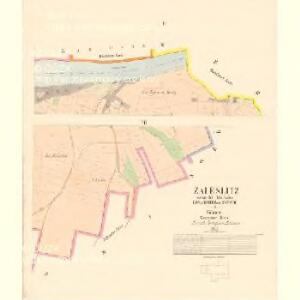 Zaleslitz - c9108-1-002 - Kaiserpflichtexemplar der Landkarten des stabilen Katasters
