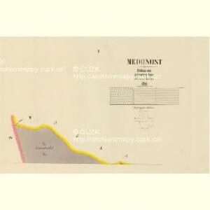 Medonost - c4546-1-001 - Kaiserpflichtexemplar der Landkarten des stabilen Katasters