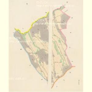 Wüstrey (Bystra) - c0712-1-002 - Kaiserpflichtexemplar der Landkarten des stabilen Katasters