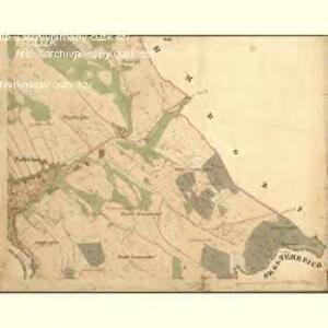 Zettwing - c0751-1-004 - Kaiserpflichtexemplar der Landkarten des stabilen Katasters