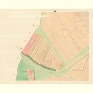 Borschütz - m0176-1-003 - Kaiserpflichtexemplar der Landkarten des stabilen Katasters