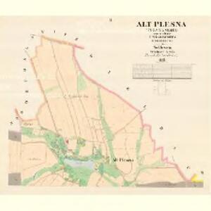 Alt Plesna (Plesna Stara) - m2839-1-002 - Kaiserpflichtexemplar der Landkarten des stabilen Katasters
