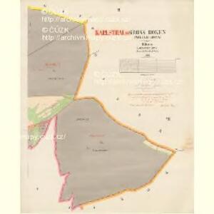 Gross Boken (Welka Bukowna) - c8386-1-003 - Kaiserpflichtexemplar der Landkarten des stabilen Katasters