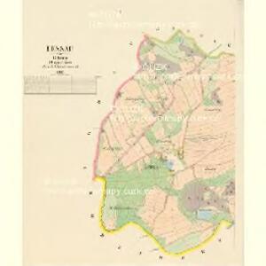 Lessau - c3871-1-001 - Kaiserpflichtexemplar der Landkarten des stabilen Katasters