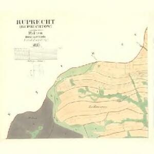 Ruprecht (Roprechtow) - m2644-1-001 - Kaiserpflichtexemplar der Landkarten des stabilen Katasters