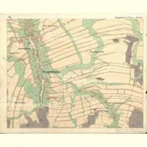 Ringelshain - c6668-1-005 - Kaiserpflichtexemplar der Landkarten des stabilen Katasters