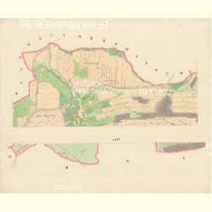 Krziwe - m1398-1-001 - Kaiserpflichtexemplar der Landkarten des stabilen Katasters