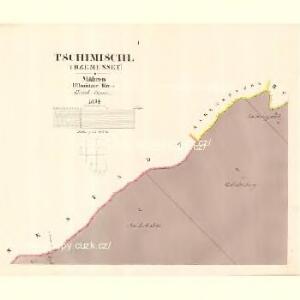 Tschimischl (Třzemesset) - m3156-1-001 - Kaiserpflichtexemplar der Landkarten des stabilen Katasters