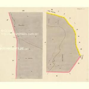 Niedergrund - c1362-2-007 - Kaiserpflichtexemplar der Landkarten des stabilen Katasters