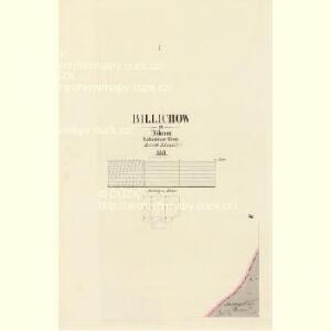 Billichow - c0224-1-001 - Kaiserpflichtexemplar der Landkarten des stabilen Katasters