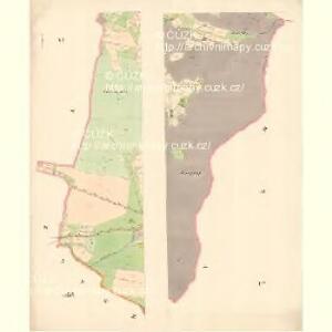 Zubrzy (Zubřzy) - m3614-1-004 - Kaiserpflichtexemplar der Landkarten des stabilen Katasters