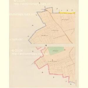 Gross Nehwizd (Welky Nedwizd) - c5009-1-001 - Kaiserpflichtexemplar der Landkarten des stabilen Katasters