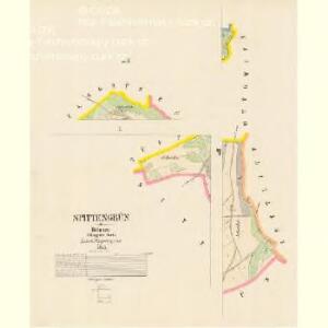 Spittengrün - c5174-2-001 - Kaiserpflichtexemplar der Landkarten des stabilen Katasters