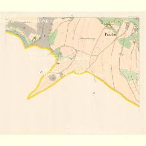Pietschin (Pieczin) - c5749-1-005 - Kaiserpflichtexemplar der Landkarten des stabilen Katasters