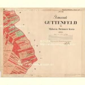 Guttenfeld - m0463-1-002 - Kaiserpflichtexemplar der Landkarten des stabilen Katasters