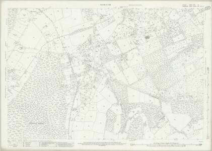 Surrey XXX.13 (includes: Binsted; Farnham) - 25 Inch Map