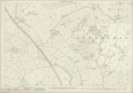 Sussex XXX.11 (includes: Salehurst) - 25 Inch Map