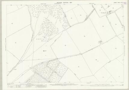 Dorset XXV.10 (includes: Pamphill; Shapwick; Tarrant Rushton; Witchampton) - 25 Inch Map