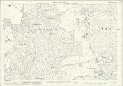 Surrey XXXIII.11 (includes: Holmwood; Milton) - 25 Inch Map