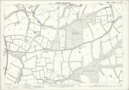 Surrey XL.16 (includes: Capel; Newdigate; Rusper) - 25 Inch Map