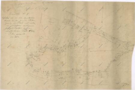 Koncept mapy části Opatovického revíru, tzv. Plchovské olšiny