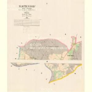 Blottendorf - c5982-1-001 - Kaiserpflichtexemplar der Landkarten des stabilen Katasters