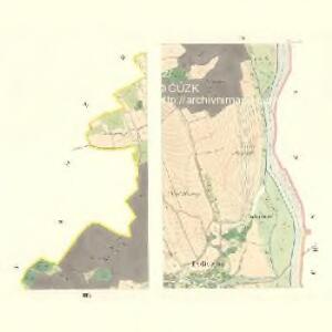Policzna - m2353-1-004 - Kaiserpflichtexemplar der Landkarten des stabilen Katasters
