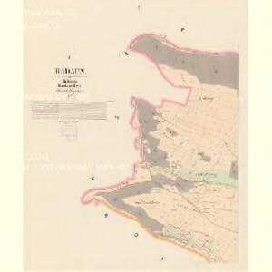 Radaun - c6396-1-001 - Kaiserpflichtexemplar der Landkarten des stabilen Katasters