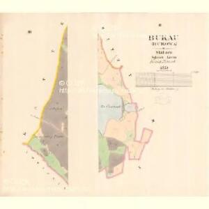 Bukau (Bukowa) - m0289-1-002 - Kaiserpflichtexemplar der Landkarten des stabilen Katasters
