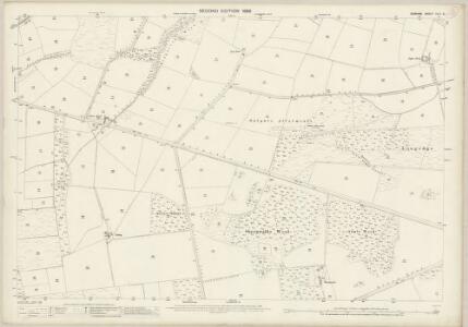 Durham XVIII.6 (includes: Healeyfield; Lanchester) - 25 Inch Map